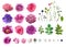 Vector Big Selection of Various Flowers Leaves including Rose, D