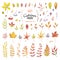 Vector Big Set of red autumn watercolor elements - berries and leaves.. Collection garden, wild foliage and branches