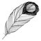 Vector Bird feather from wing isolated. Black and white engraved ink art. Isolated feathers illustration element.