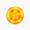 Vector Bitcoin future currency coin. blockchain icon.