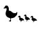 Vector black duck and baby ducklings silhouette