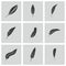 Vector black feather icons set