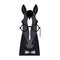 Vector black flat style horse head in glasses and bowtie