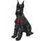 Vector black Giant Schnauzer dog sitting