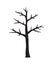 Vector black hand drawn naked tree silhouette