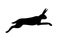 Vector black jumping hare silhouette