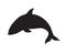 Vector black killer whale dolphin silhouette