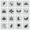 Vector black leaf icons set