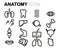 Vector black line anatomy icons set