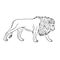 Vector black line hand drawn doodle sketch lion