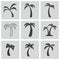 Vector black palm icons set