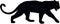 Vector black panther illustration on white