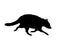 Vector black raccoon silhouette