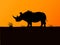 Vector black rhino silhouette background sunset