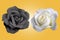 Vector black rose and white rose. real vector of roses.