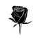 Vector Black rosebud silhouette. Logo, tattoo or emblem of rose.