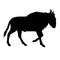 Vector black silhouette of african wildebeest