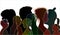 Vector black silhouette of multiracial people of different ages. Group of people different nationalities. Multiple exposure