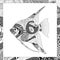 Vector black and white angelfish illustration