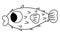 Vector black and white blowfish icon. Under the sea line illustration with cute funny deflated spiky fish. Ocean animal clipart.