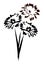 Vector black and white bouquet of daisies