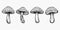 Vector Black and White Hand Drawn Cartoon Mushrooms. Amanita Muscaria, Fly Agaric Illustration, Mushrooms Collection