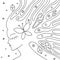 Vector black and white hand drawn illustration of psychedelic woman face with abstract tree, flowers, leaves, dots, butterfly, bac