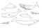 Vector black white hand drawn set of animals in Antarctica. Outline collection of blue, humpback, sperm whales, orca