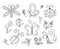 Vector black and white insect and first flower icons pack. Funny spring garden outline collection. Cute ladybug, butterfly, beetle