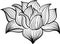Vector Black and White Lotus flower