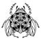 Vector black and white sketch of a ladybug. Coloring book for children, adults and teenagers. A cute insect with spots