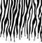 vector black and white skin texture of zebra