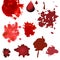 Vector blood splatters isolated on white. Design elements in various style. Red splashes