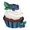 Vector bluberry cupcake, maffin,cake print,illustration. Isolated elements. Berries, leaves,cupcake