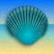 Vector blue shell illustration on the summer sea