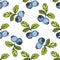 Vector Blueberry green and blue engraved ink art. Berries and green leaves. Seamless background pattern.