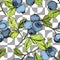 Vector Blueberry green and blue engraved ink art. Berries and green leaves. Seamless background pattern.