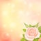 Vector blurry soft background with rose