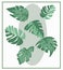 Vector Botanical banners with leaves.Monstera.Design of natural cosmetics, medical and Ayurvedic products, yoga center.Greeting ca