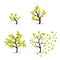 Vector botany concept cyclic growth of the tree. Environmental template development of wood from small to large, from spring to