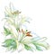 Vector bouquet with ornate white Lily flower, buds and leaves on white background with blots in pastel.