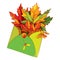 Vector bouquet with outline Acer or Maple ornate leaves in pastel green, orange and red in open craft envelope isolated on white.