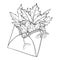 Vector bouquet with outline Acer or Maple ornate leaves and samaras in black in open craft envelope isolated on white background.