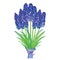 Vector bouquet with outline blue muscari or grape hyacinth flowers and green leaves isolated on white. Ornate floral elements.