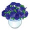 Vector bouquet with outline blue Petunia flower, green leaf and bud in ornate round flowerpot isolated on white background.