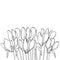 Vector bouquet with outline Cyclamen or Alpine violet flower bunch and bud in black isolated on white background.