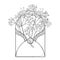 Vector bouquet of outline Gypsophila or Baby`s breath flower bunch and bud in open craft envelope in black isolated on white.