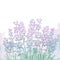 Vector bouquet with outline Lavender flower bunch, bud and leaves on the textured pastel violet background.
