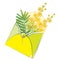 Vector bouquet with outline Mimosa or Acacia dealbata or silver wattle flowers and leaf in yellow open craft envelope isolated.