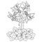 Vector bouquet with outline ornate Aquilegia or Columbine flower, bud and leaf in black isolated on white background.